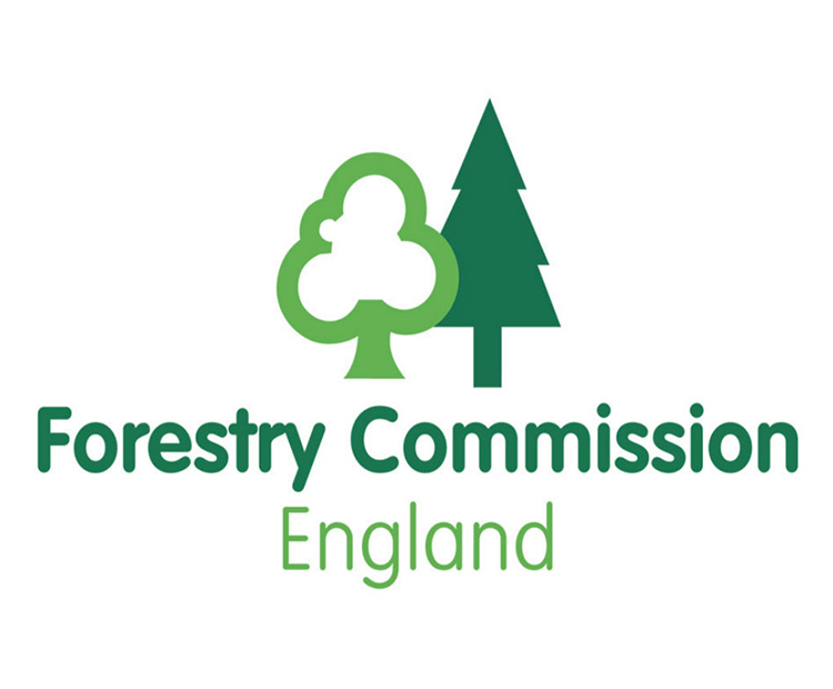 apply to be   writer in the forest with the forestry commission